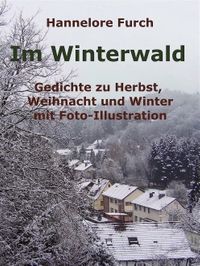 Hannelore Furch: Im Winterwald. Gedichte zu Herbst, Weihnacht und Winter mit Foto-Illustration. 2015 (TWENTYSIX).